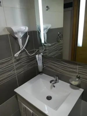 a bathroom with a sink and a mirror at Vila Jelena in Crni Vrh