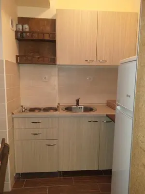 a small kitchen with a sink and a refrigerator at Suncani apartman 26 in Brzeće