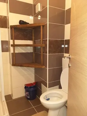 a bathroom with a toilet in a room at Suncani apartman 26 in Brzeće