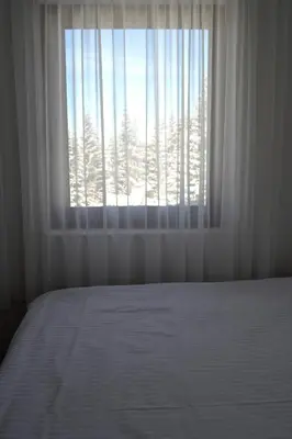 a bedroom with a bed and a window with trees at Apartman Marija, Vila Suri in Kopaonik