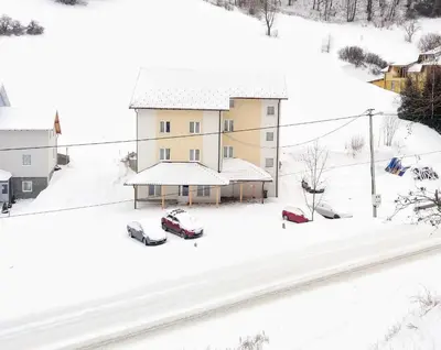 Gallery image of Vila Vuk Wolf in Brzeće