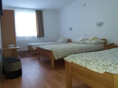 Gallery image of Vila Vuk Wolf in Brzeće