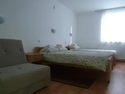 Gallery image of Vila Vuk Wolf in Brzeće