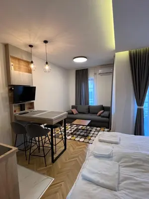 a room with a bed and a table and a couch at Apartmani Central & Free parking in Vrnjačka Banja