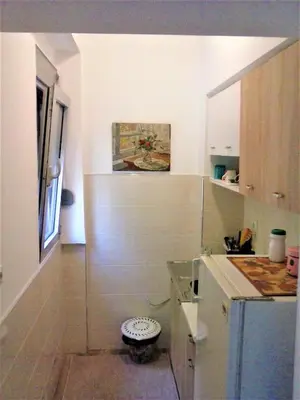 a small kitchen with a counter and a refrigerator at Apartman Veljic in Niš