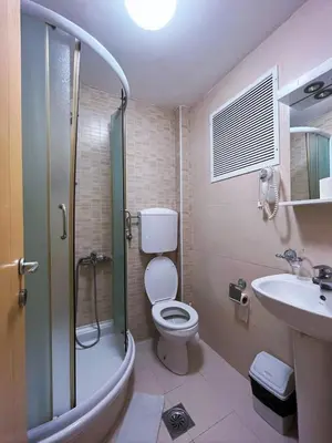 a bathroom with a shower and a toilet and a sink at Vila Ljubica in Vrnjačka Banja