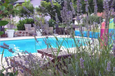 a swimming pool with a wooden bench in a garden at Vila Ljubica in Vrnjačka Banja