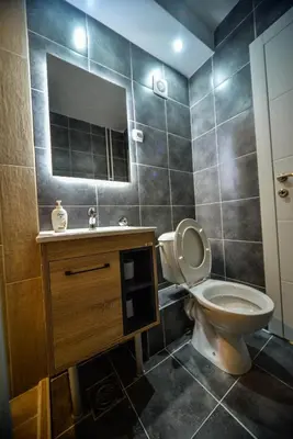 a bathroom with a toilet and a sink and a mirror at goltepirot in Pirot