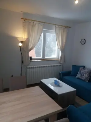 a living room with a couch and a table and a window at Apartman Jana do Kraljevih cardaka in Kopaonik