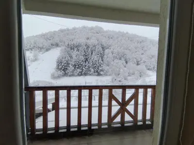a view of a snow covered forest from a window at Ljubica in Brzeće
