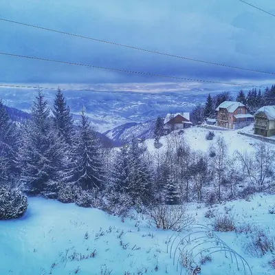 a snow covered hill with houses and trees at Iznad Oblaka Apartman 8 in Kopaonik