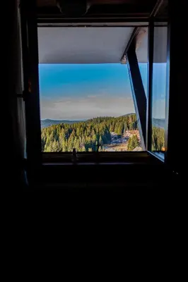 a window with a view of a forest of trees at Top Lux Zupa in Kopaonik