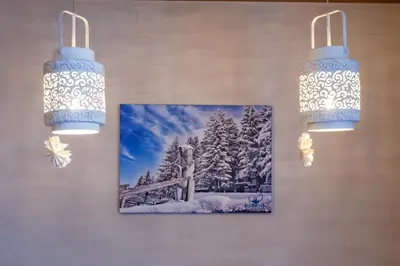 two lights hanging on a wall with a picture on it at Top Lux Zupa in Kopaonik
