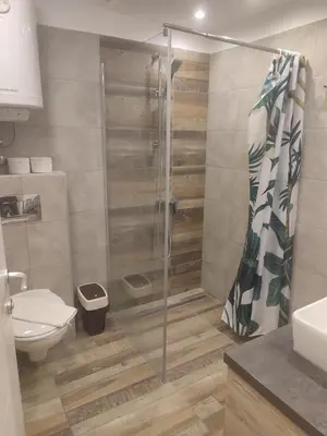 a bathroom with a shower and a toilet at Privat Studio Milmari in Kopaonik