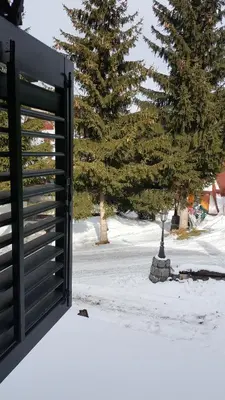 a gate in the snow with a tree in the background at GreenPointMountainHouse for 6 persons in Kopaonik