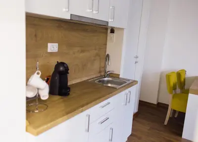a kitchen with a sink and a counter top at NEW Center Apartments in Niš