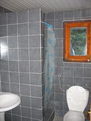 a bathroom with a toilet and a window and a shower at Villa Kostic Kopaonik in Kopaonik