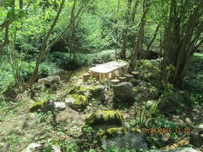 a wooden bench sitting in the middle of a forest at Vila Idila in Crni Vrh