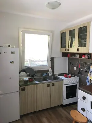 a kitchen with a sink and a white refrigerator at Vila Idila in Crni Vrh