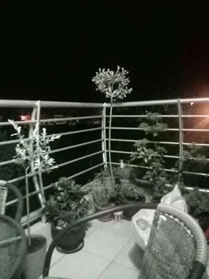 a balcony with a table and chairs and plants at Агни in Vrnjačka Banja
