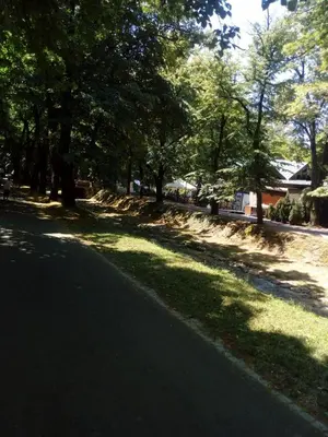 a street with trees and grass on the side of a road at Агни in Vrnjačka Banja