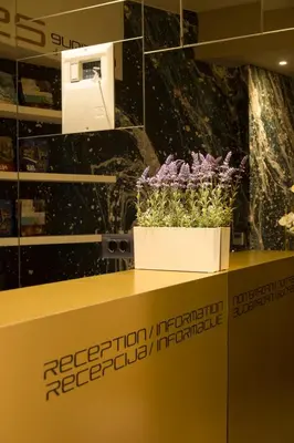a flower box with purple flowers on a counter at BOUTIQUE 25h by Eva stay 018 in Niš