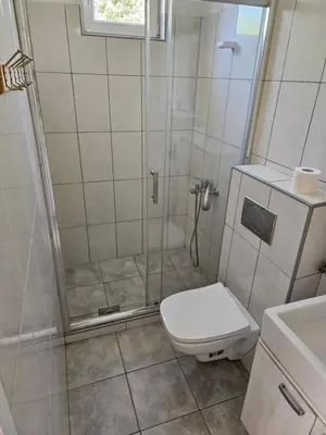 a bathroom with a shower and a toilet at Apartments Kuca Aleksic in Niš