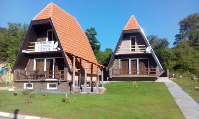 a house with a thatched roof and a yard at Vili Bilyana in Crni Vrh