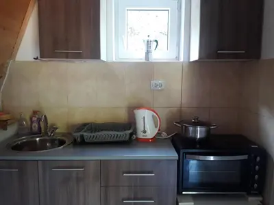 a kitchen counter with a sink and a microwave at Vili Bilyana in Crni Vrh