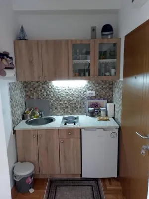 a small kitchen with a sink and a dishwasher at Apartman Krstić in Vrnjačka Banja