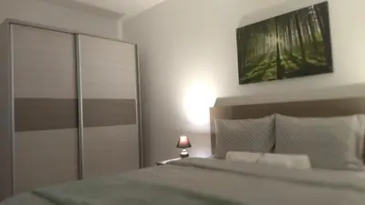 a bedroom with a bed and a picture on the wall at Sokobanja Apartmani in Soko Banja