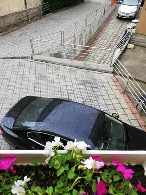 a car parked on a street next to flowers at Apartman Veselinovic Free PARKING in Vranje
