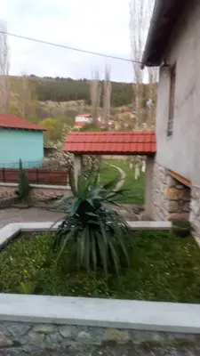 a plant in a yard next to a building at Guest House Green view in Pirot