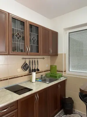 a kitchen with wooden cabinets and a sink at Apartment Matovic in Vrnjačka Banja
