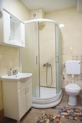 a bathroom with a shower with a toilet and a sink at Apartment Marijana in Vrnjačka Banja