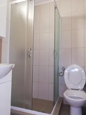 a bathroom with a shower with a toilet and a sink at Laguna apartman 2 in Niš