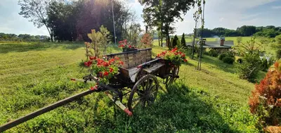 a bicycle with flowers on the back parked in a field at Resavsko Etno Selo in Despotovac