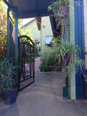 an entrance to a house with a gate with potted plants at Apartman Kaća in Vrnjačka Banja