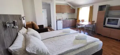 a bedroom with a large bed and a kitchen at Apartments Banjica in Soko Banja
