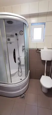 a bathroom with a shower and a toilet and a sink at Apartments Banjica in Soko Banja
