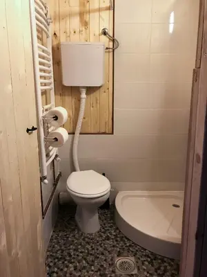 a bathroom with a toilet and a sink at Golema Reka in Crni Vrh