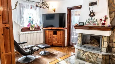a living room with a fireplace and a television at Vila Seka in Kopaonik
