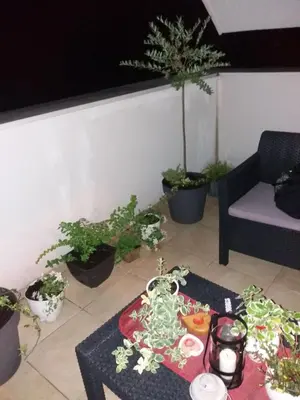 a living room with a table and potted plants at Jasna Apartman in Vrnjačka Banja