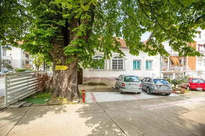 two cars parked in front of a large tree at Apartmani Didić in Soko Banja