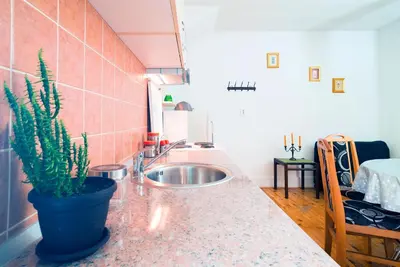 a kitchen with a sink and a potted plant on a counter at Apartmani Slavica in Jagodina