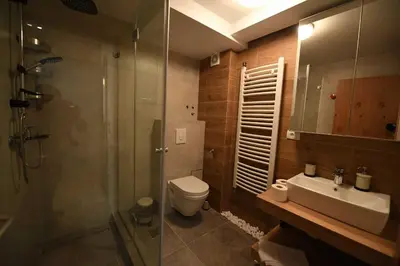 a bathroom with a shower and a toilet and a sink at Apartmani Marija in Kopaonik