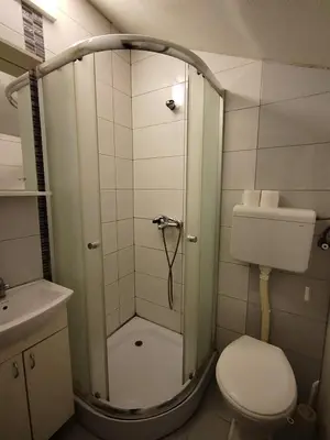 a bathroom with a shower with a toilet and a sink at 6 topola in Despotovac