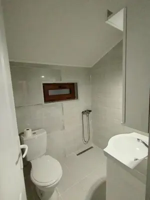 a white bathroom with a toilet and a sink at 6 topola in Despotovac