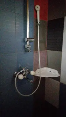 a shower in a bathroom with a hose on the wall at Hacijenda Gane in Soko Banja