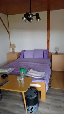 a bedroom with a bed with purple sheets and a table at Hacijenda Gane in Soko Banja